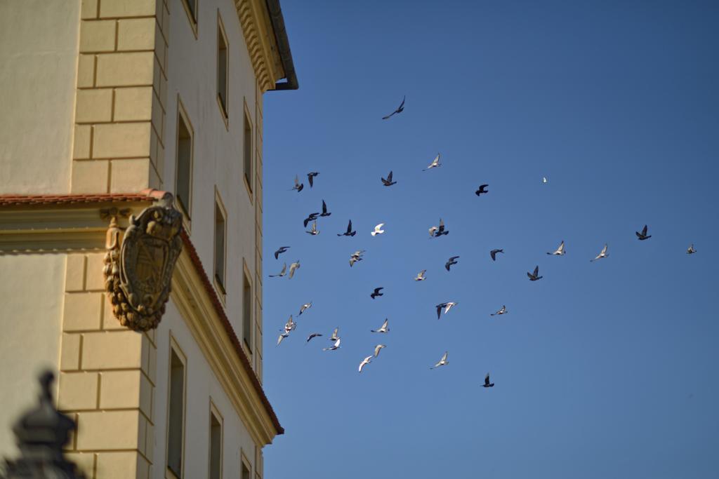 Apartmany Belveder Hlohovec Exterior foto